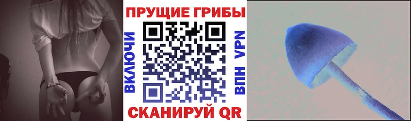 Псилоцибиновые грибы мицелий kraken ONION Онега
