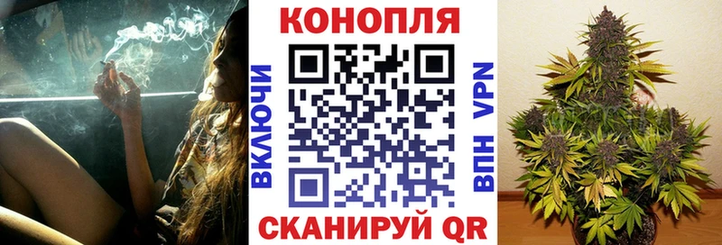 где продают   Онега  Шишки марихуана индика 